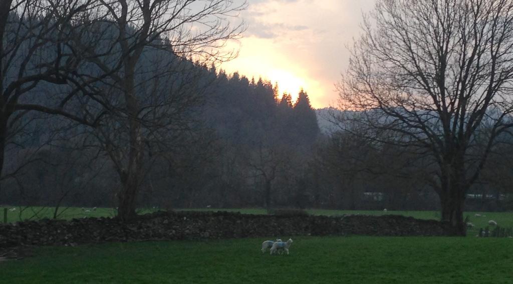Tyddyn Bach Barn Villa Betws-y-Coed Ruang foto